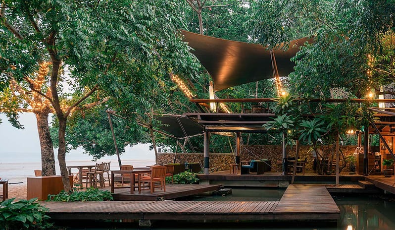 ARUNDINA OVER THE POOL